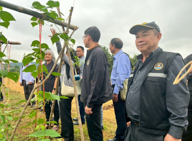 ร่วมสังเกตการณ์ คณะกรมสหกรณ์และพัฒนาชนบทเมียนมาร์ ... พารามิเตอร์รูปภาพ 52